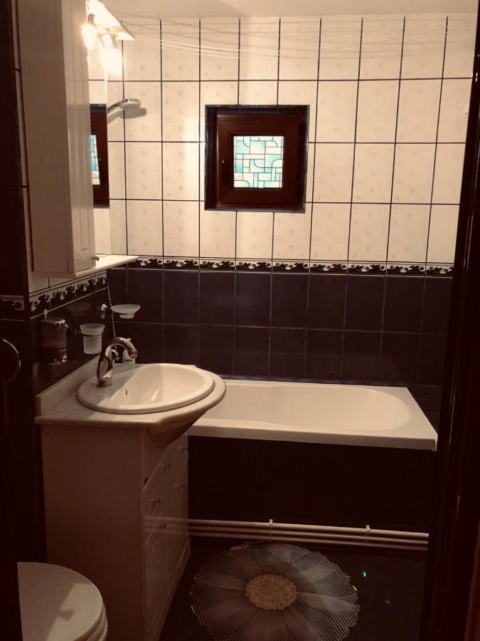 Clau Apartment Galaţi Dış mekan fotoğraf